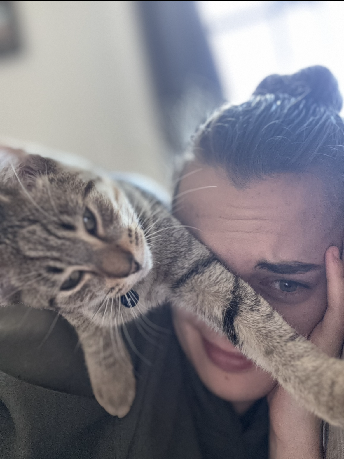 Gato Arthur confused by the phone technology!